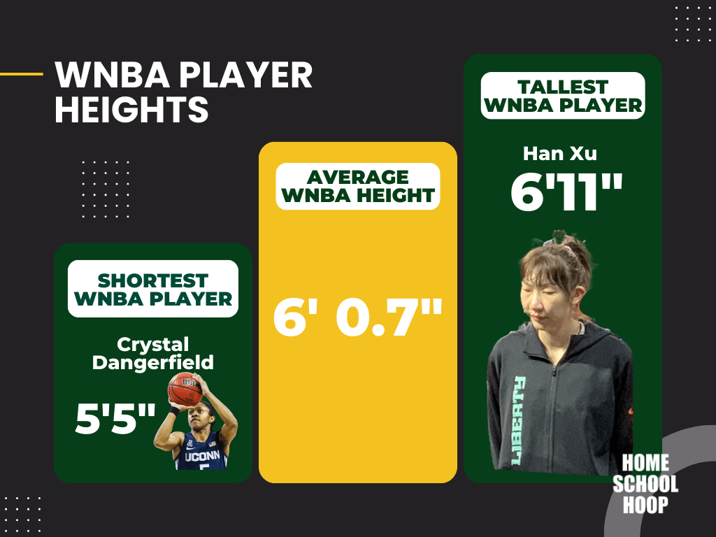 Chart graph showing shortest, tallest, and average height WNBA player 