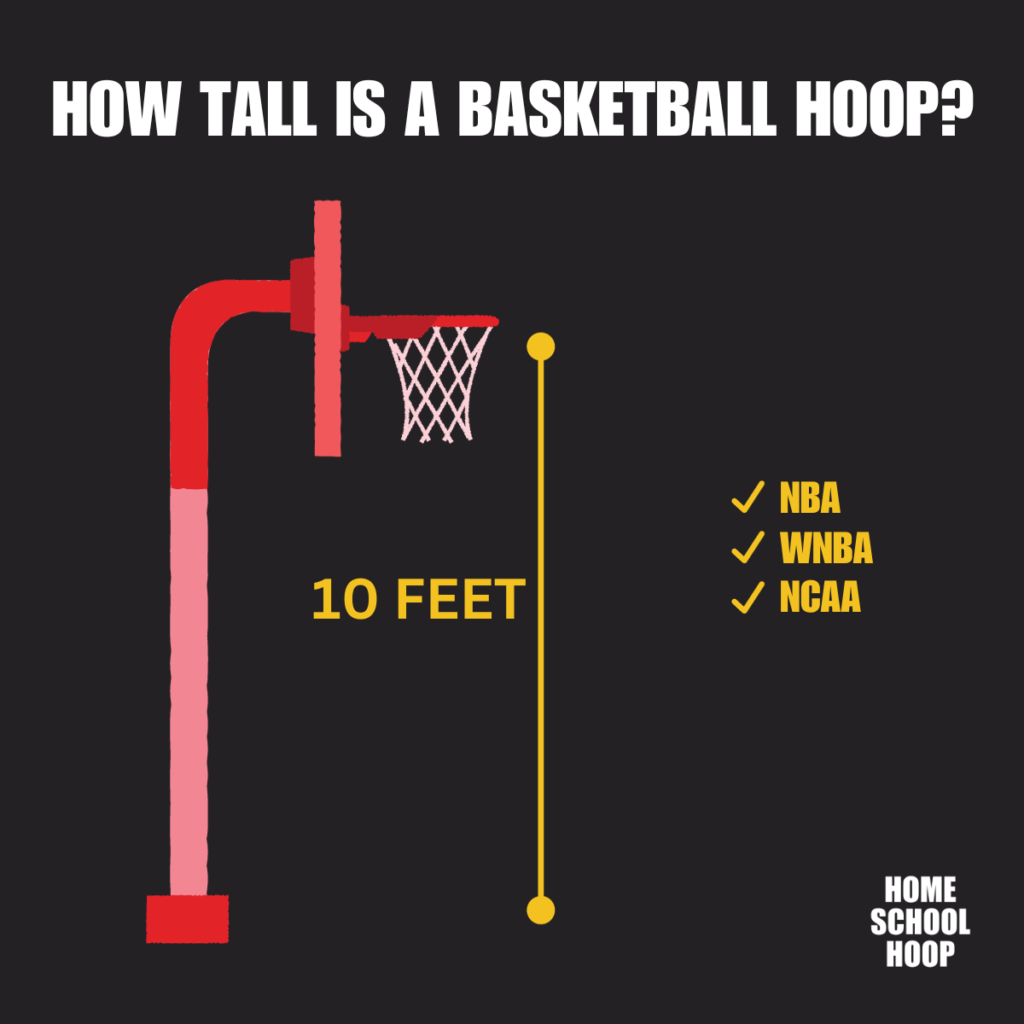 Infographic showing the 10-feet height of a basketball hoop from the floor to the rim.