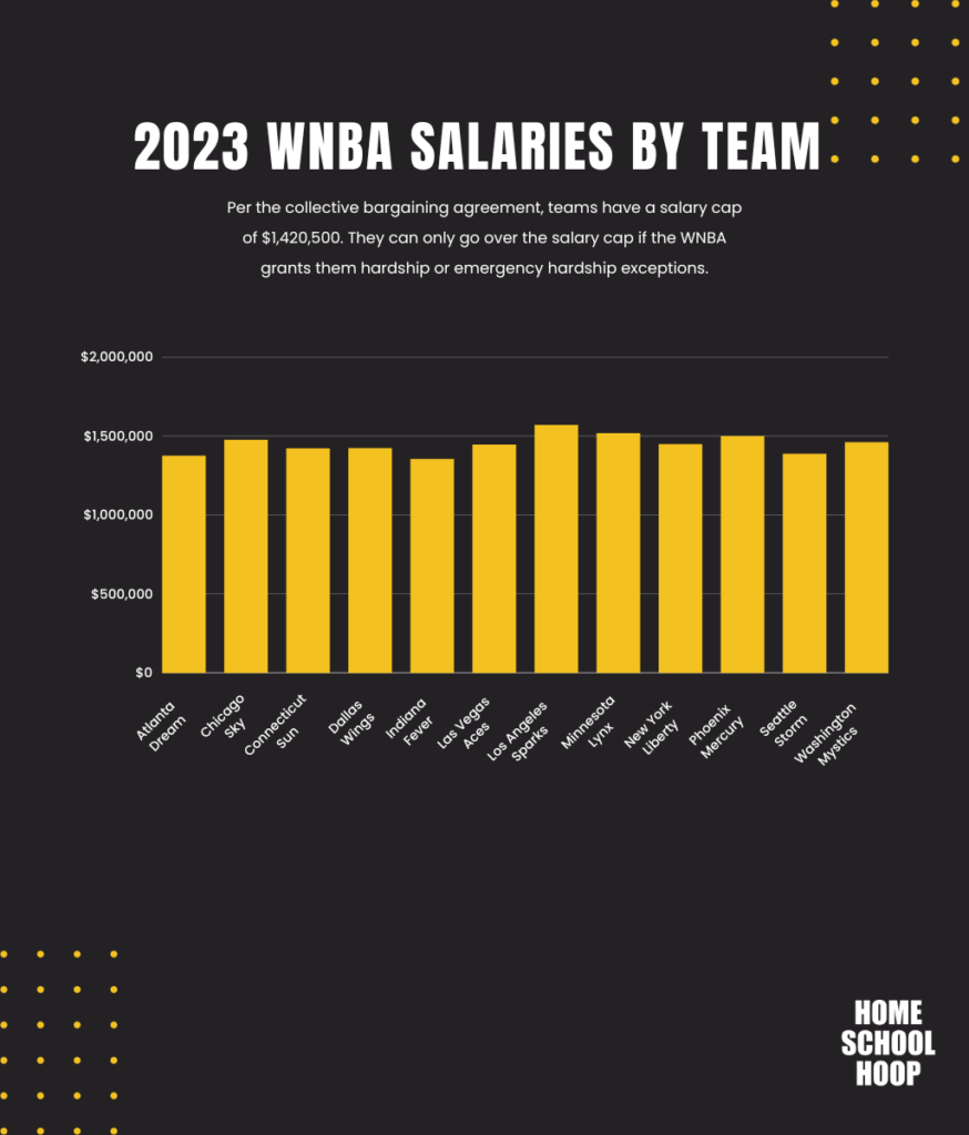 A bar graph showing WNBA salaries broken down by team.