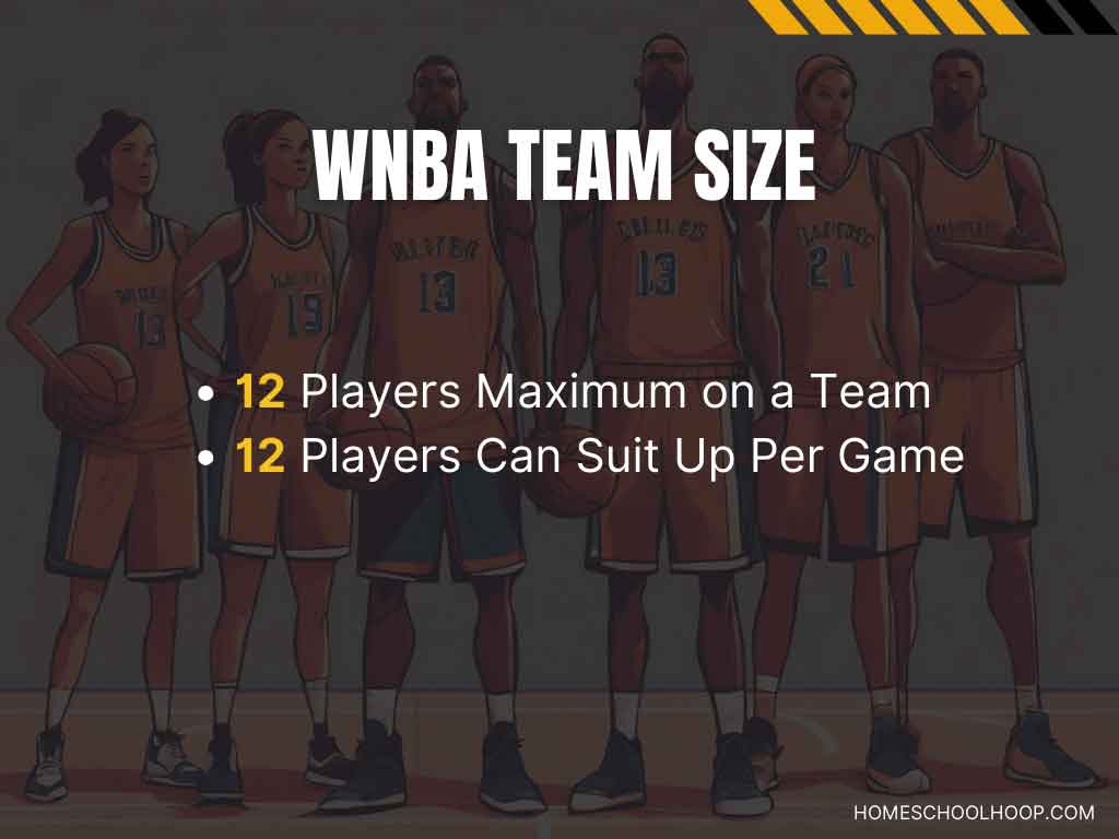 A graphic breaking down the basics of how many basketball players on a WNBA team.