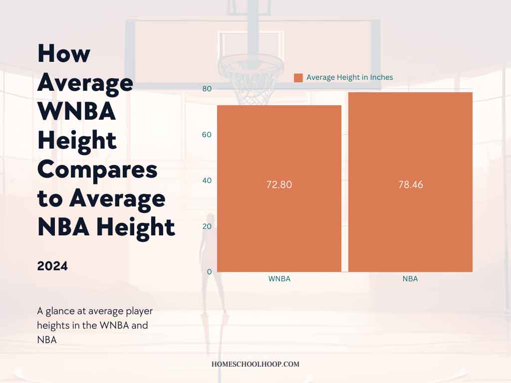 A bar chart comparing the average WNBA height to the average NBA height.